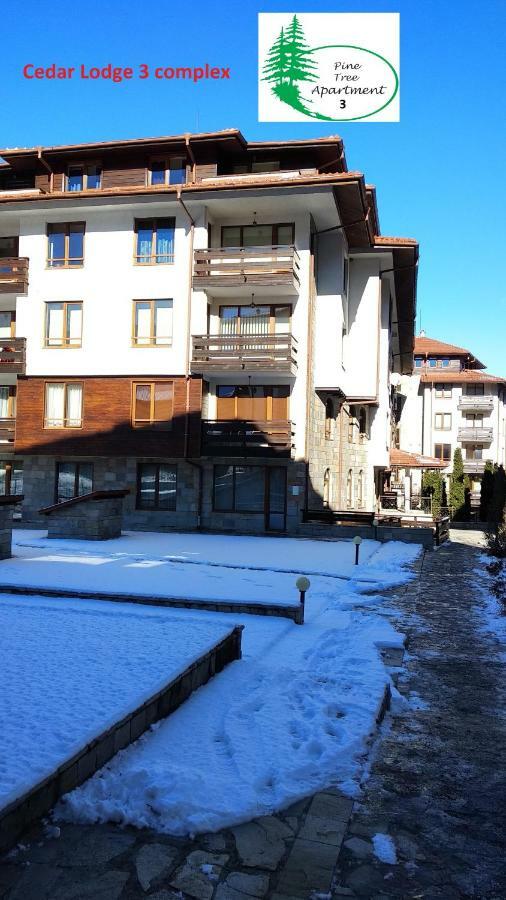 Pine Tree Apartment 3 - B3 Бансько Екстер'єр фото
