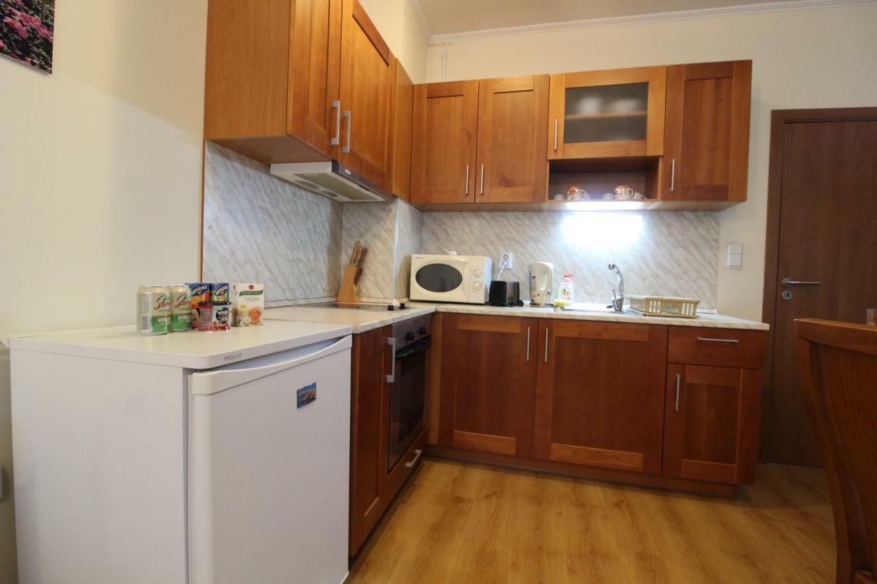 Pine Tree Apartment 3 - B3 Бансько Екстер'єр фото